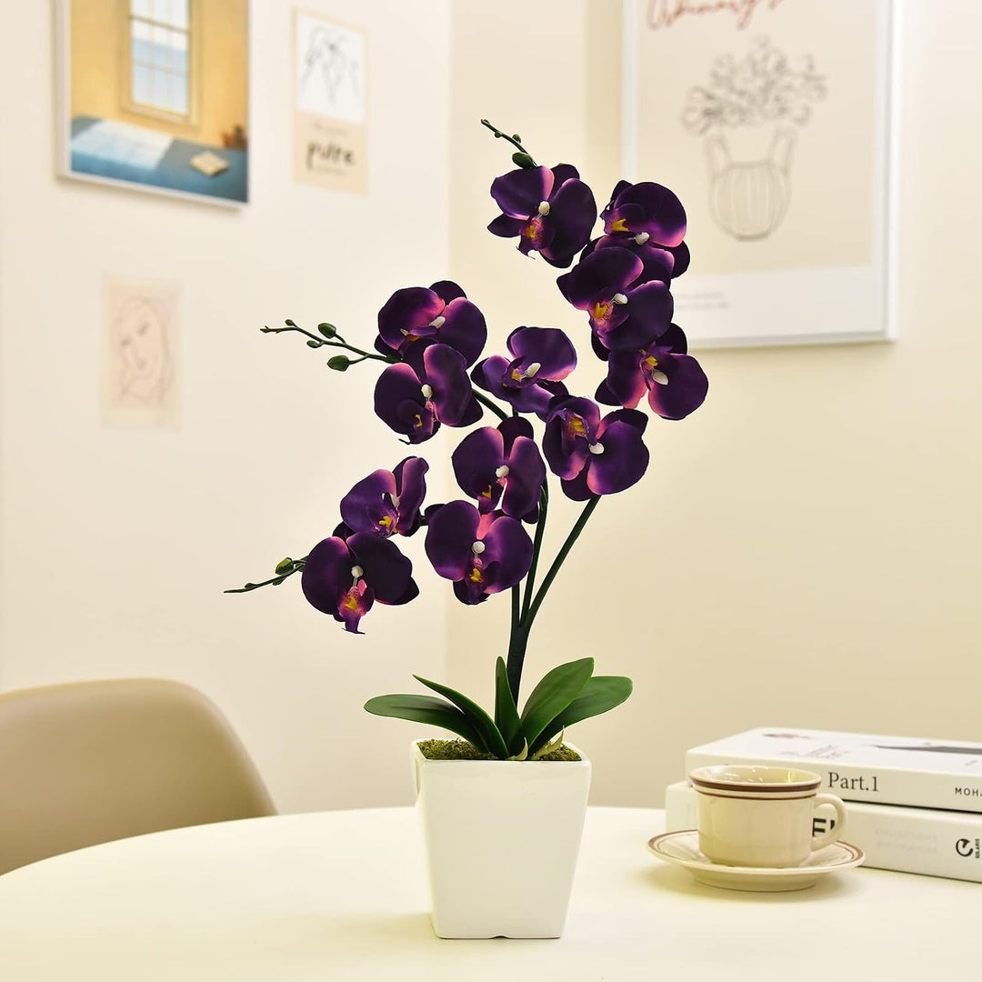 YSZL Phalaenopsis Orchidee, 38,1 cm, gross, Dunkelviolett, Dunkelviolett