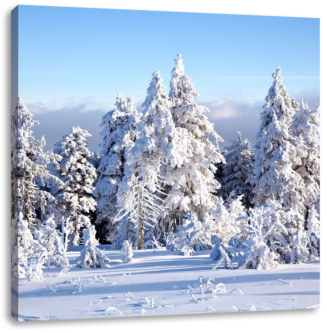 Pixxprint Winterwald, Format: 70x70 als Leinwandbild, tolle Bilder fertig auf Holzrahmen gespannt, K