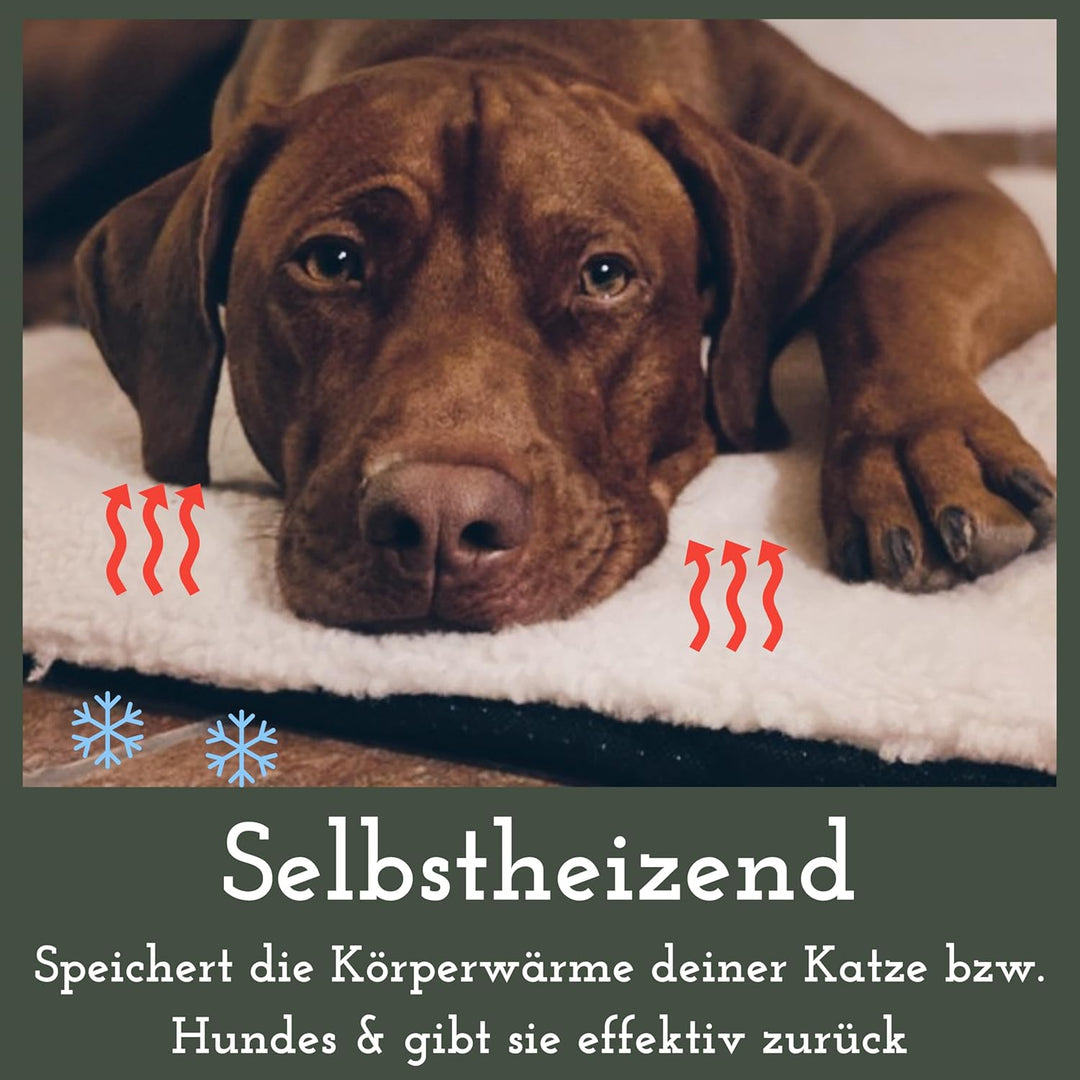 Fellou Heizdecke Katze 60 x 40 cm - Selbstheizende Decke Katze - Waschbar & Knisterfrei - Wärmedecke