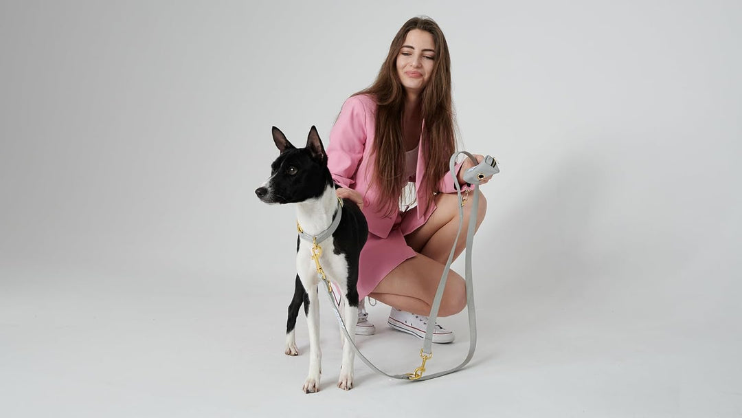 VELVETIER® Manhattan | Halsband Hund im Set mit Leine & Beutelspender | Veganes Leder | Hunde Halsbä