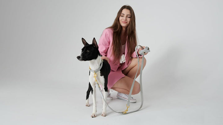 VELVETIER® Manhattan | Halsband Hund im Set mit Leine & Beutelspender | Veganes Leder | Hunde Halsbä