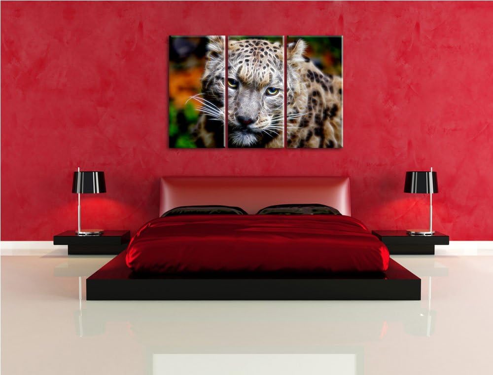 eleganter Schneeleopard Spezial 3-Teiler Leinwandbild 120x80 Bild auf Leinwand, XXL riesige Bilder f