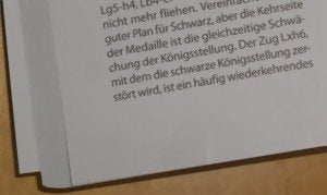 Die Macht der Bauern: Strukturen, Pläne und Ideen für Vereinsspieler, Taschenbuch