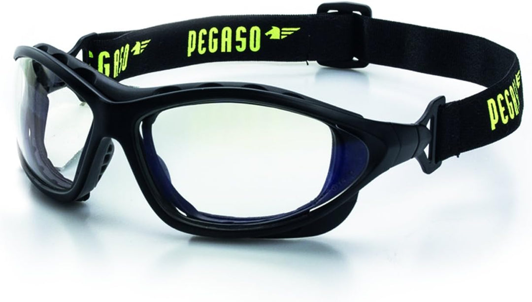 Pegaso 156.01 Schutzbrille, transparent, L