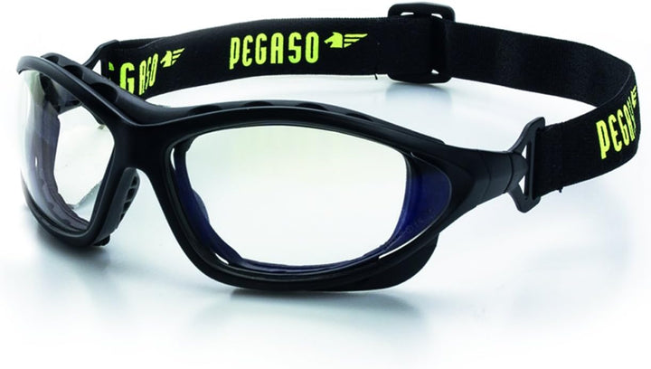 Pegaso 156.01 Schutzbrille, transparent, L