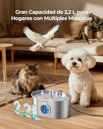 Katzenbrunnen Edelstahl und Ersatzfilter, 2.2L Trinkbrunnen für Katze mit 2 Trinkstellen und LED-Anz