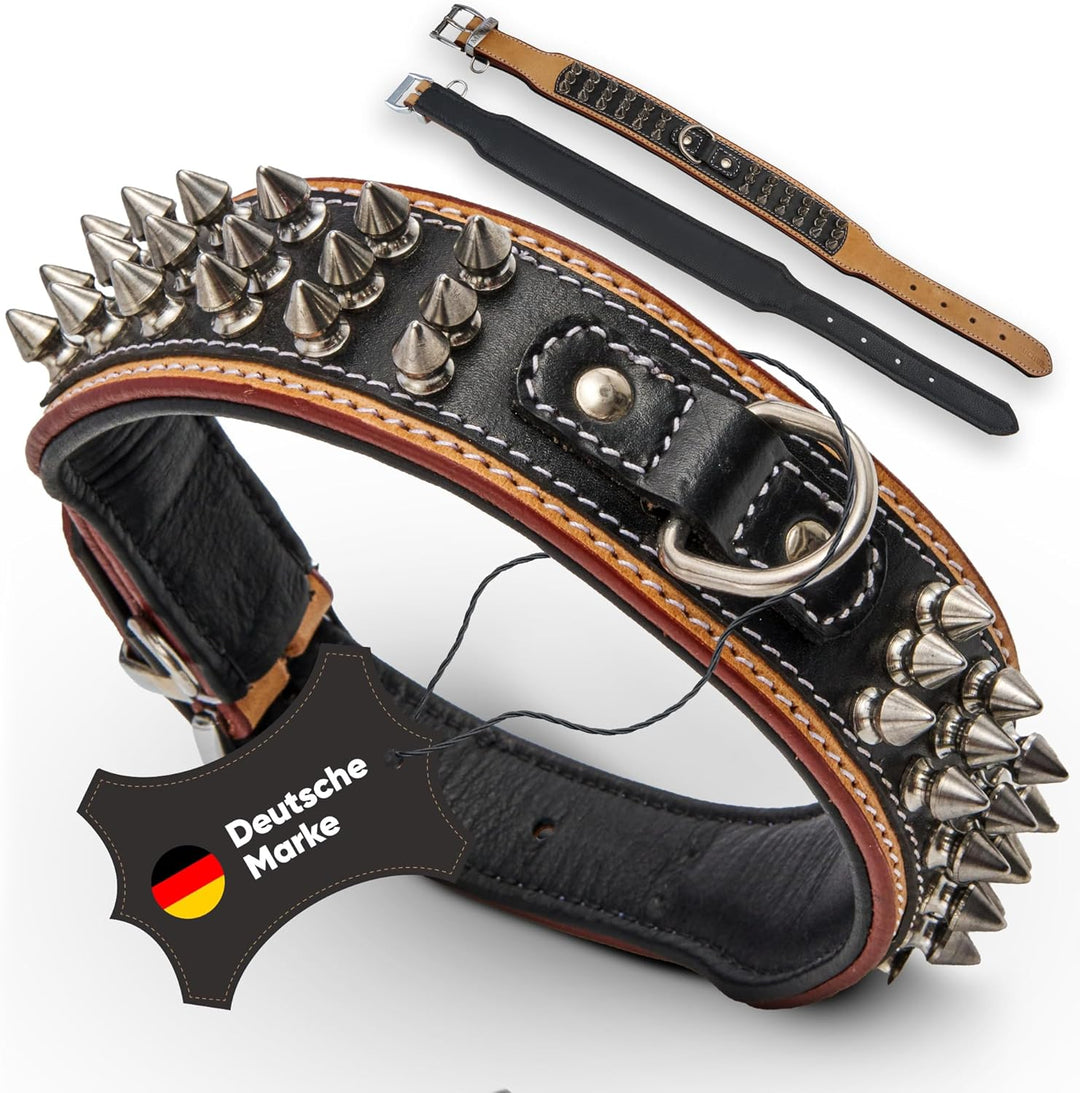 MICHUR Strike NO. 1 Hundehalsband Leder, Halsband, Lederhalsband Hund, Nieten, Halsband Leder MIT Ni