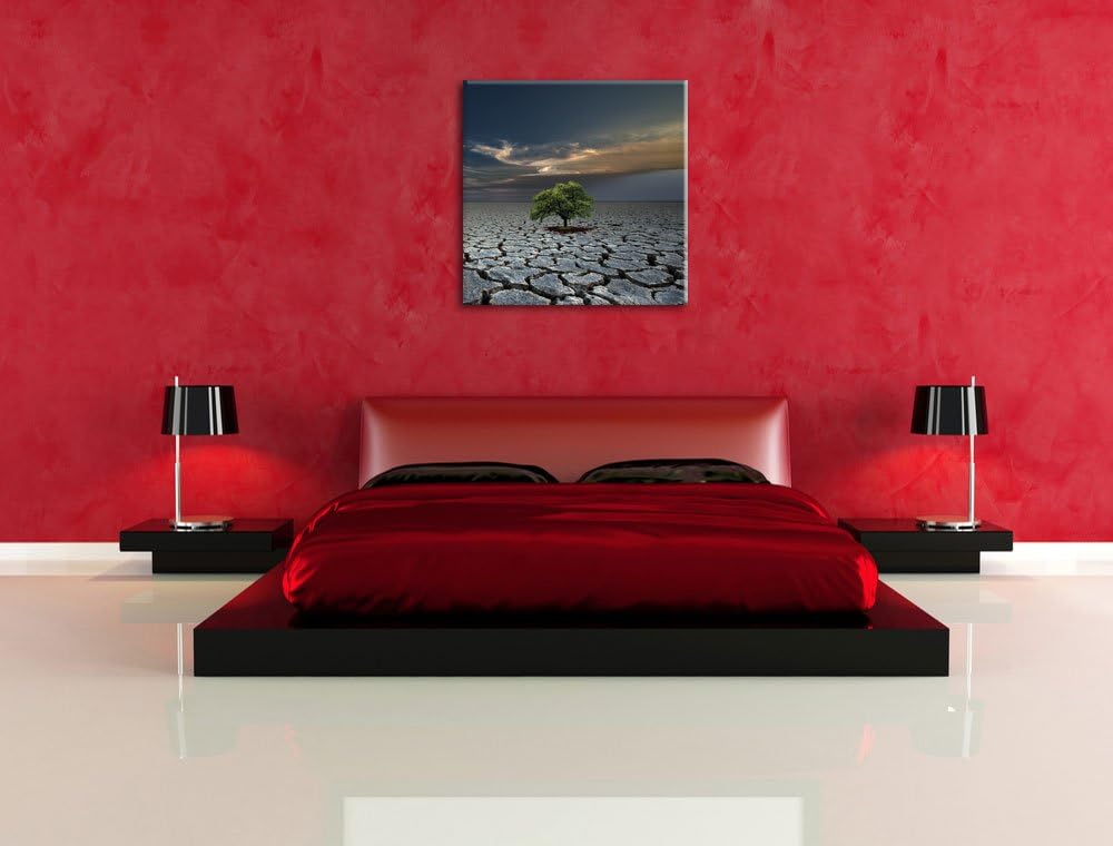 Pixxprint Der letzte Baum im ausgetrockneten Boden, Format: 70x70 auf Leinwand, 70x70