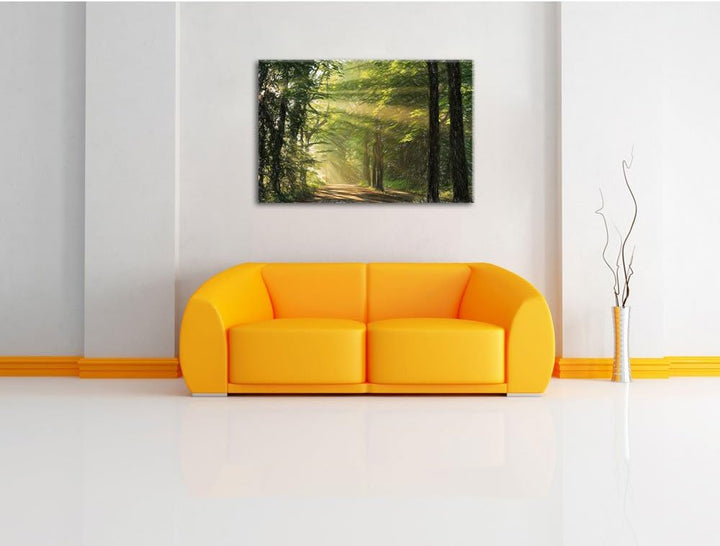 Pixxprint Waldweg im Frühling als Leinwandbild/Grösse: 100x70 / Wandbild/Kunstdruck/fertig bespannt,