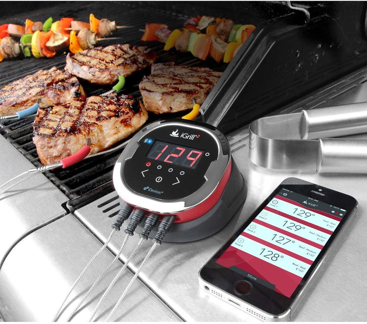 DELSbbq Ersatz-Fleischsonden 4er-Pack, kompatibel mit Weber iGrill & Connect Geräten, farbcodierte H