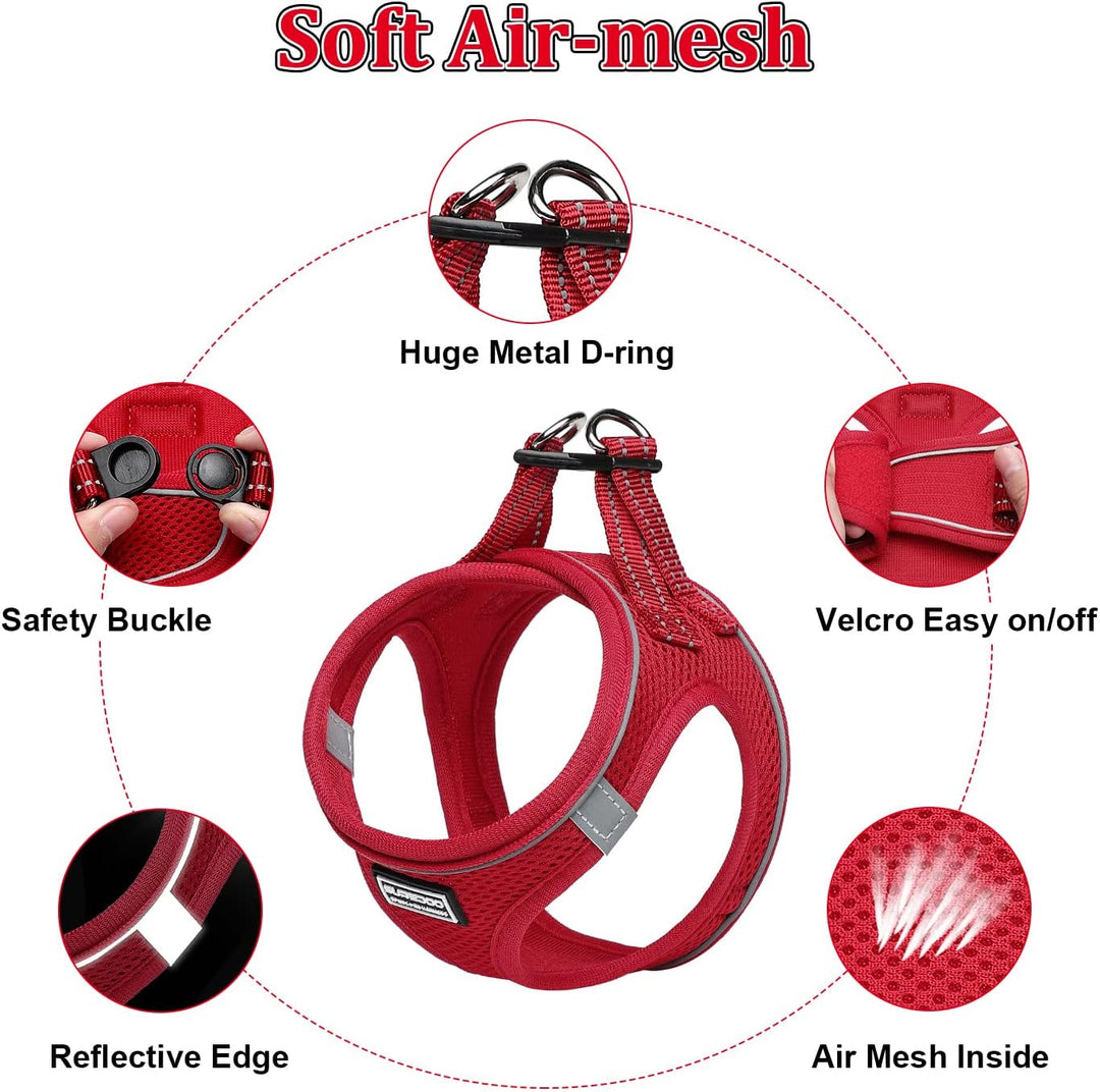 Suredoo Hundegeschirr mit Leine Anti Zug Geschirr Reflektierend Brustgeschirr für Kleine Hunde, Haus