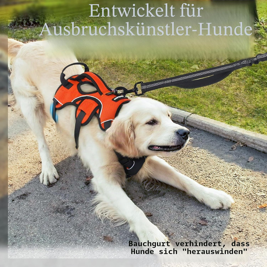 rabbitgoo Ausbruchsichere Hundegeschirr Grosse Hunde mit Griff, Anti Zug Sicherheitsgeschirr Hund At