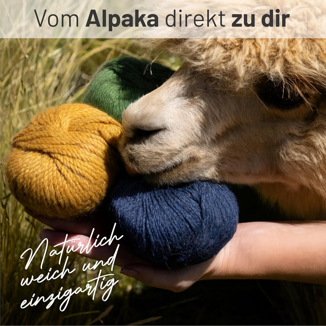 HANSA-FARM | Alpacare 100% waschbare Baby Alpakawolle in 25 Farben - 300 Set DK (6 x 50g) - Die 1. m