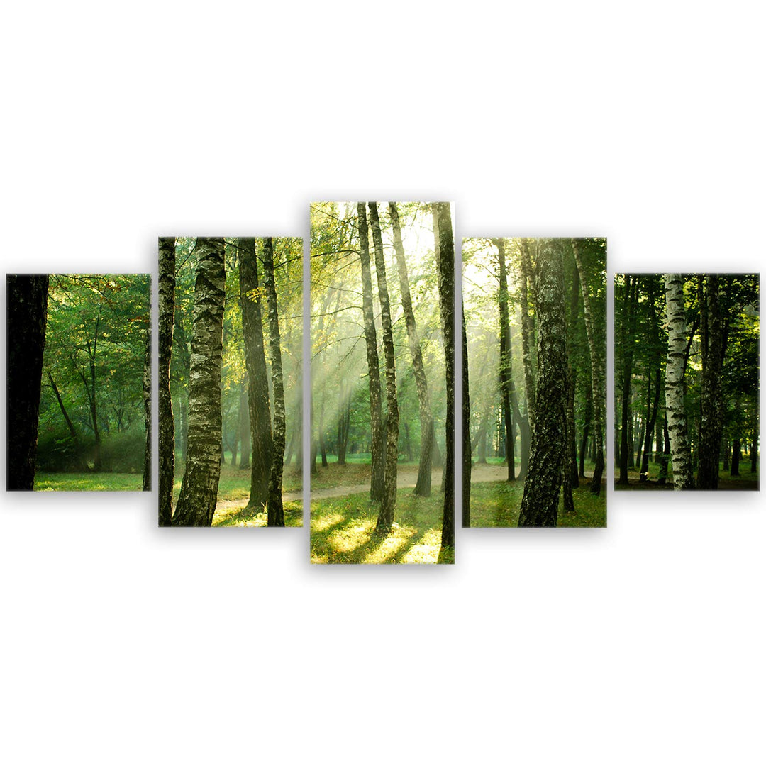 ge Bildet Bild auf Leinwand | Landschaftsbilder - Wald I in 100x50 cm mehrteilig als Wandbild | Wand