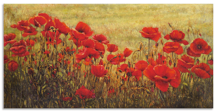 ARTland Wandbild Alu Verbundplatte für Innen &amp; Outdoor Bild 60 x 30 cm Botanik Blumenwiese Mohnblume