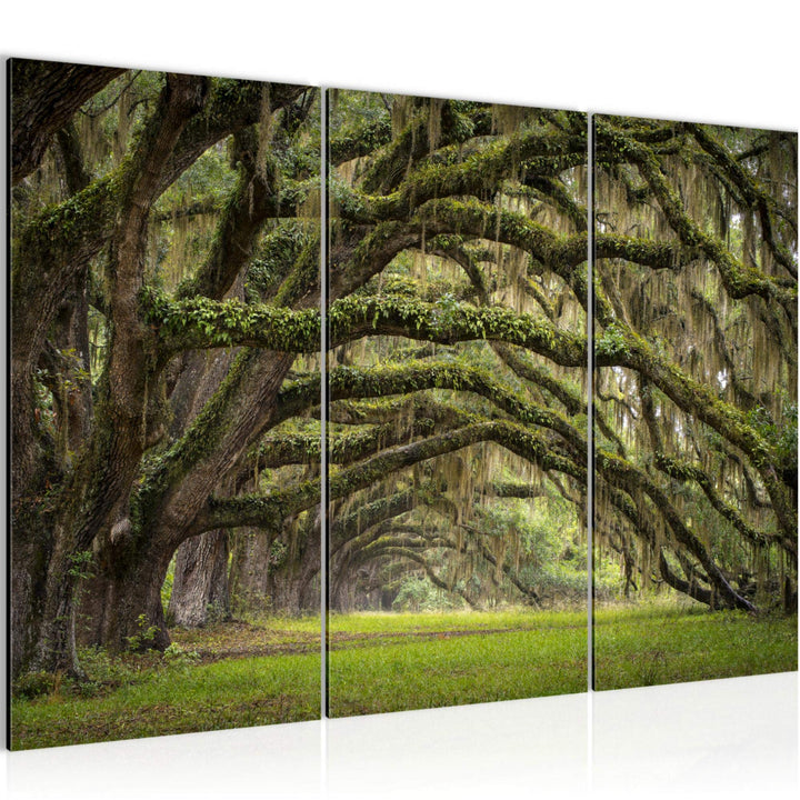 Runa Art Wandbilder Wald Landschaft Bild XXL Schlafzimmer Wohnzimmer Grün Natur 120 x 80 cm 3 Teilig