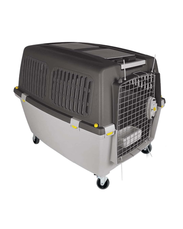 Transportbox GULLIVER 4 IATA 71 x 51 x 50 cm L 72 x B 52 x H 51 cm, L 72 x B 52 x H 51 cm