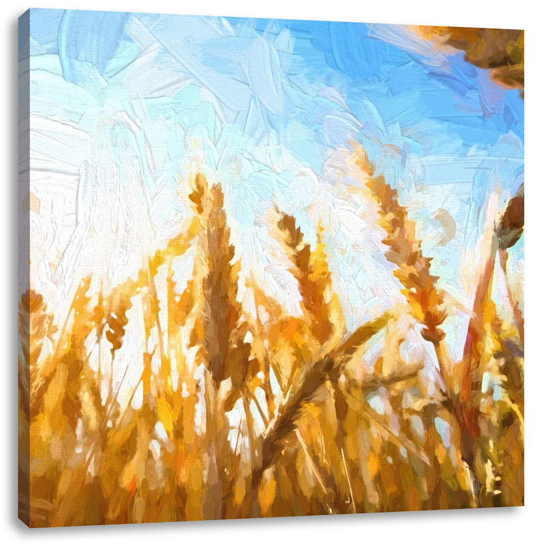 Getreide im Sonnenlicht, Format: 70x70 auf Leinwand, XXL riesige Bilder fertig gerahmt mit Keilrahme