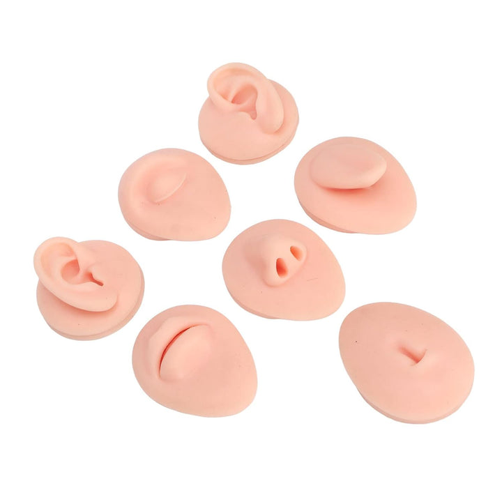 Body Piercing Übungsmodell, Körperteil Display Set, Ohr, Nase, Mund, Zunge und Bauchnabel Modell für