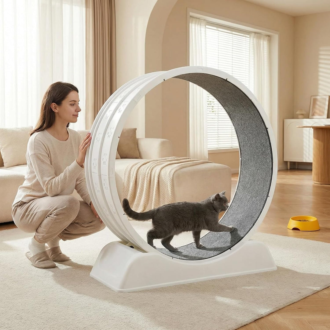 80 * 80cm Zoll Katzenräder für Indoor-Katzen, Plastik Katze Übung Laufband Rad mit Teppich Startbahn