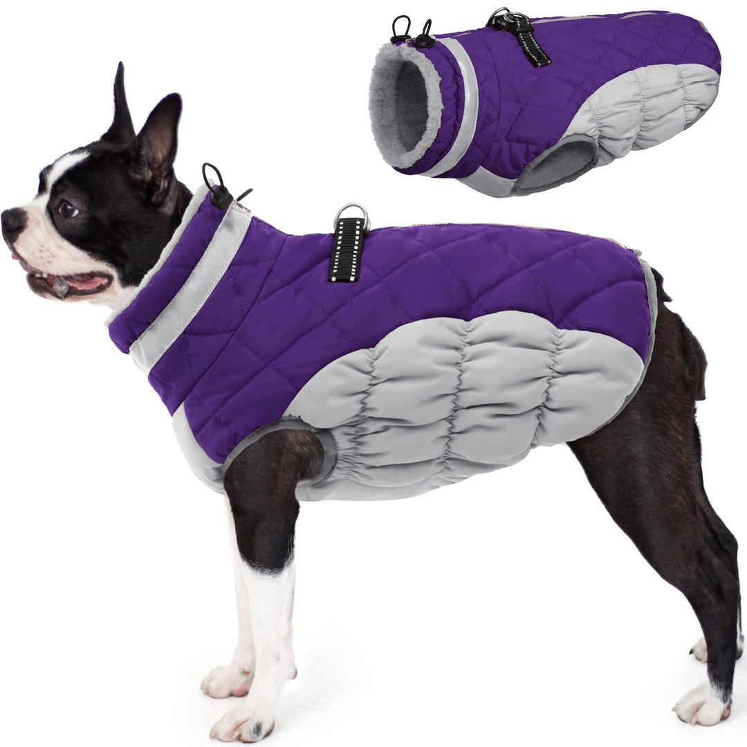 AOFITEE Hundejacke Kleine Hunde, Wasserdicht Hunde Wintermantel Warm Hundemantel mit Geschirr, Rollk