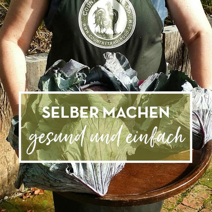 Gärgewichte aus Glas für Fermentation | 66 mm breit | Mit Griffen zum Anheben | 4er-Set für Gläser m