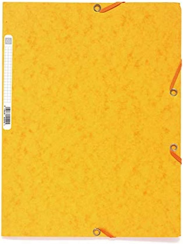 Exacompta 55509E 25er Premium Einschlagmappen. Aus extra starkem Colorspan-Karton mit 3 Innenklappen