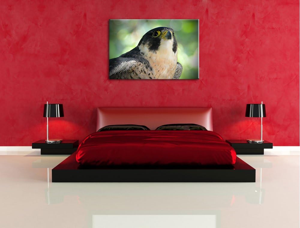 Pixxprint schöner Grauer Adler auf Leinwand, XXL riesige Bilder fertig gerahmt mit Keilrahmen, Kunst