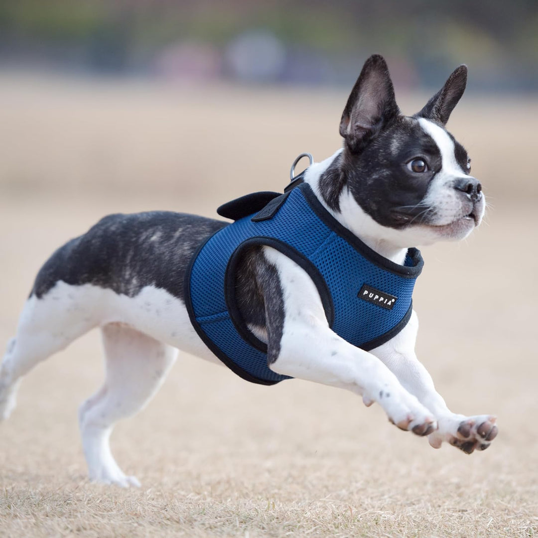 Puppia Hundegeschirr für kleine und mittelgrosse Hunde - weiche Weste in vielen Farben - Auch als We