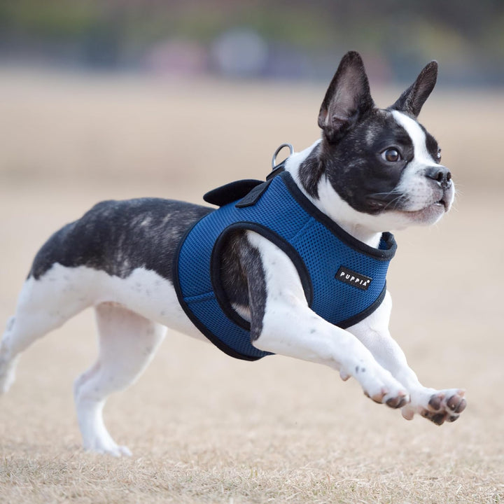 Puppia Hundegeschirr für kleine und mittelgrosse Hunde - weiche Weste in vielen Farben - Auch als We