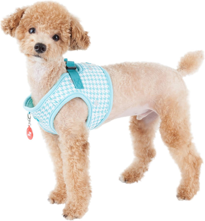 Puppia PAQA-AH1415 Hunde Weste, Aggie Harness B, x-small, blau xs blau, xs blau