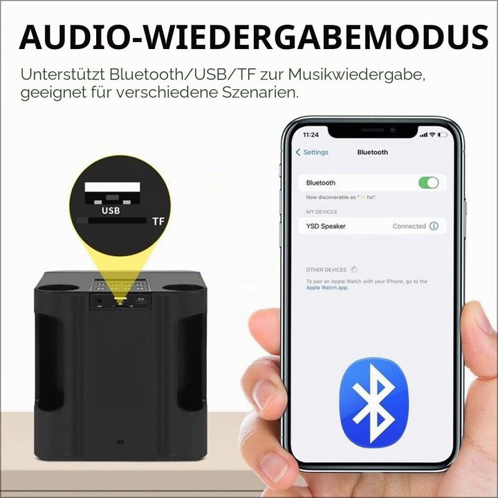 Karaoke Maschine,Bluetooth Karaoke Anlage mit 2 Mikrofonen, Lautsprecher Tragbares PA Anlage Karaoke