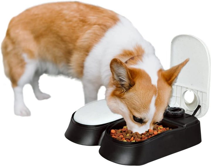 PAWISE Automatische Katzenfütterung 2-Mahlzeit Automatische Hundefütterung, mit 48-Stunden Timer, Hu