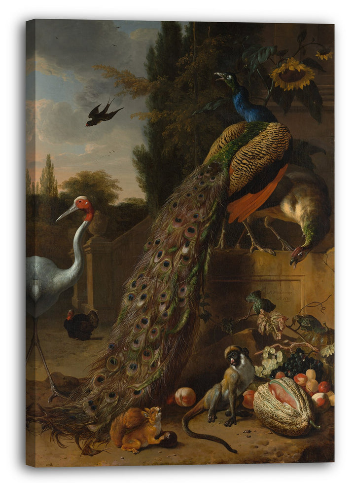 Printed Paintings Leinwand (60x80cm): Melchior d'Hondecoeter - Pfauen 60x80 cm, 60x80 cm