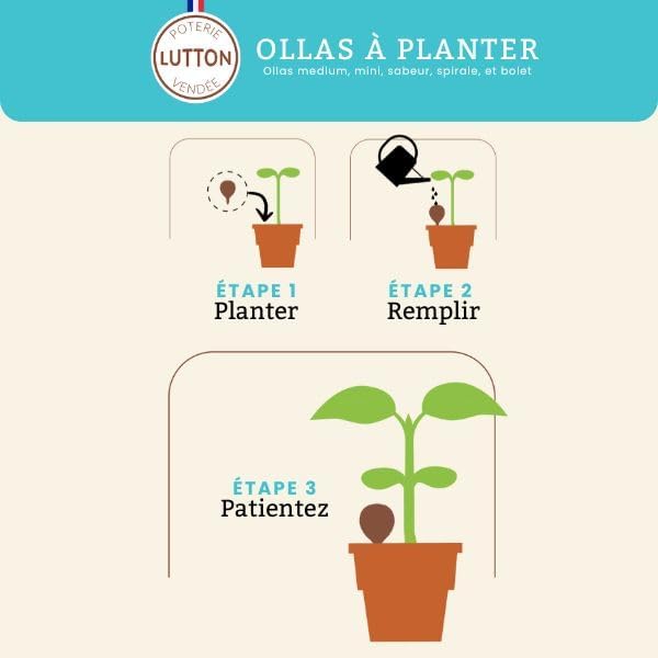 Ollas Lutton Mini Olla Terrakotta zum Pflanzen, 25 cl, automatische und umweltfreundliche Bewässerun