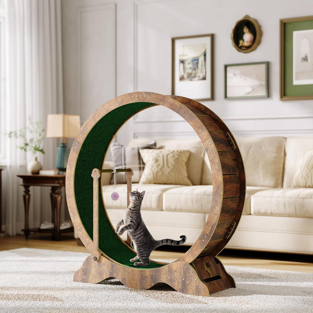 Katzenlaufrad 115cm für Indoor-Katzen - Laufband mit abnehmbarem Teppich, Sicherheitssperre und Spie