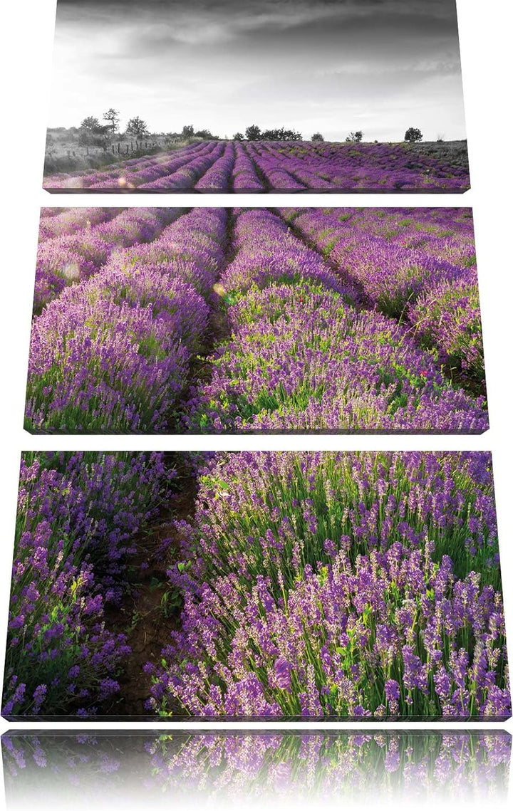 Pixxprint Lavendelfelder in der Provence als Leinwandbild/Grösse: 3 Teilig (120x80) cm/Wandbild/Kuns