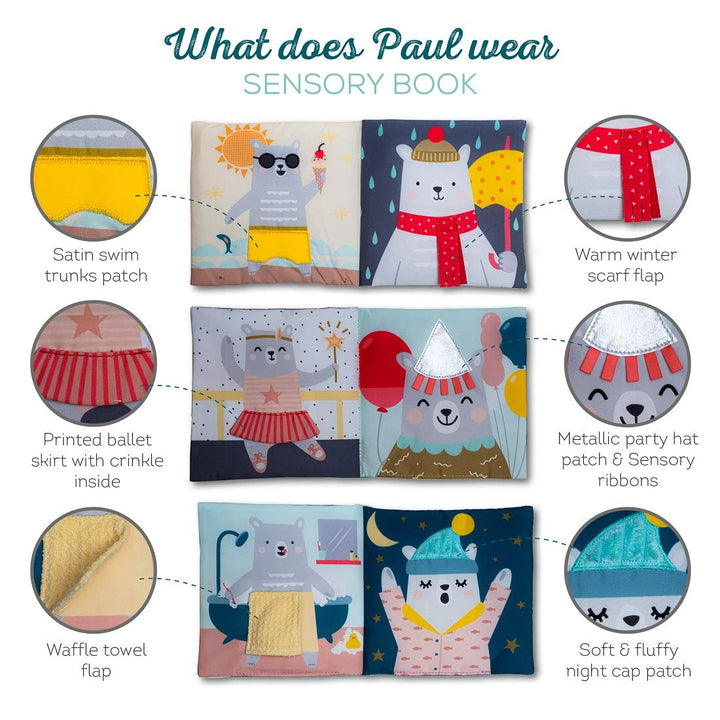 Taf Toys 12605 Paul Bear Buch, grau, 110 g Bär Paul, Bär Paul