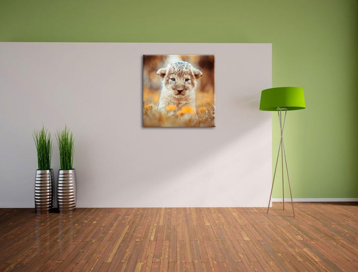 Niedliches Löwenbaby, Format: 70x70 auf Leinwand, XXL riesige Bilder fertig gerahmt mit Keilrahmen,