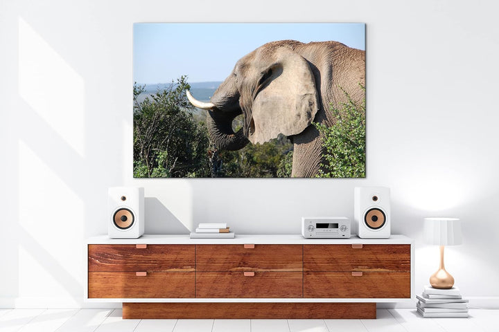 deyoli grosser Elefant Format: 100x70 als Leinwand, Motiv fertig gerahmt auf Echtholzrahmen, Hochwer