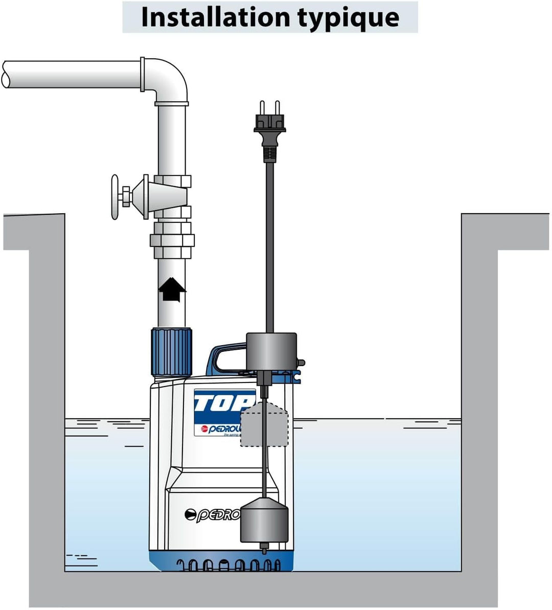 Hebepumpe Pedrollo Top 220 V, 1 g, Regenwasser, vertikal, 9,6 m³/h, 0,25 kw