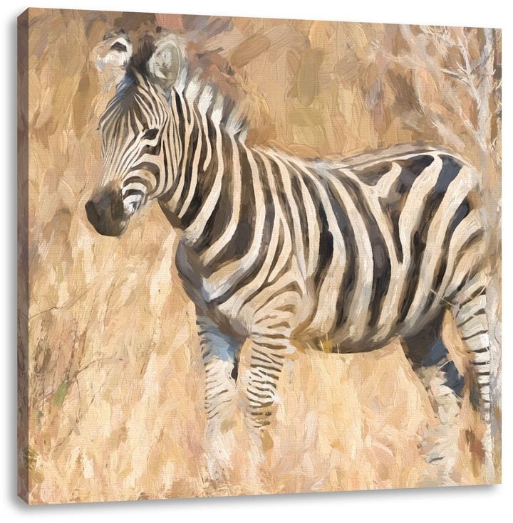 Anmutiges Zebra in Savanne, Format: 70x70 auf Leinwand, XXL riesige Bilder fertig gerahmt mit Keilra