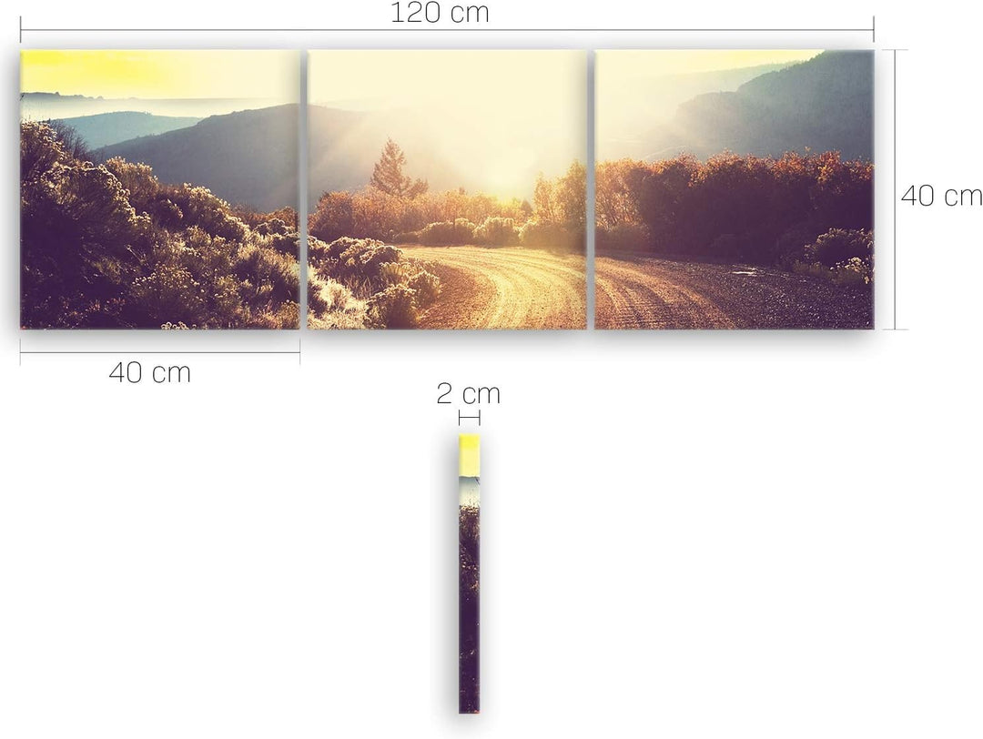 ge Bildet Bild auf Leinwand | Landschaftsbilder - road in forest E in 120x40 cm mehrteilig als Panor