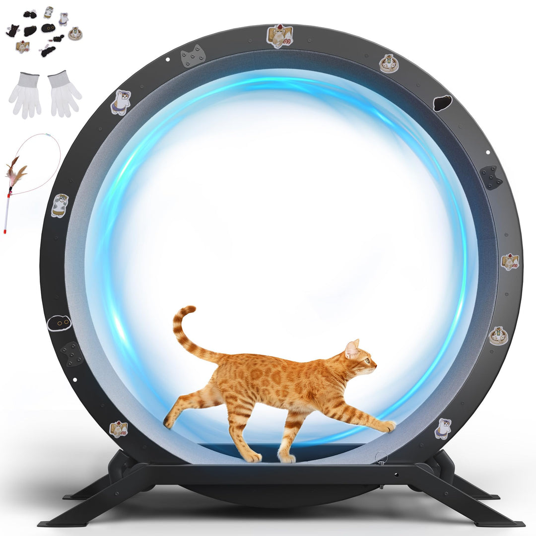 GTPLAYER Katzenlaufrad, laufrad Katze, Extra grosser 110 cm, ultraleises Laufrad mit Abnehmbarer Tep