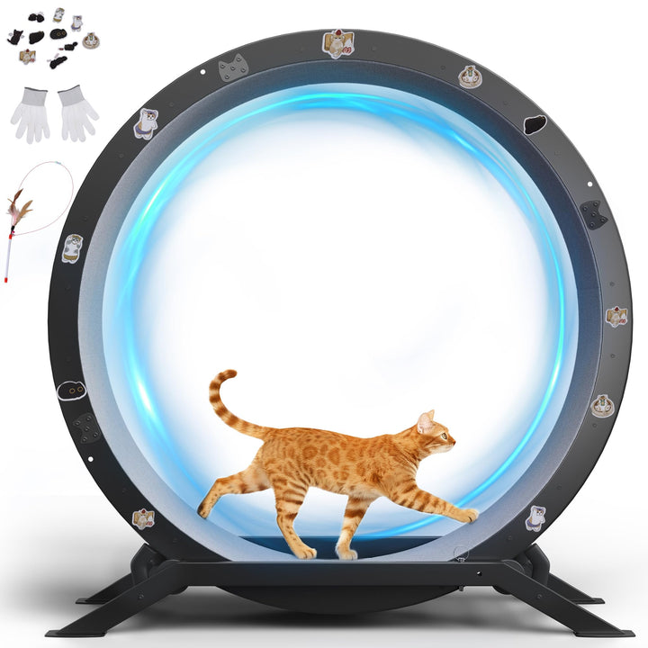 GTPLAYER Katzenlaufrad, laufrad Katze, Extra grosser 100 cm, ultraleises Laufrad mit Abnehmbarer Tep
