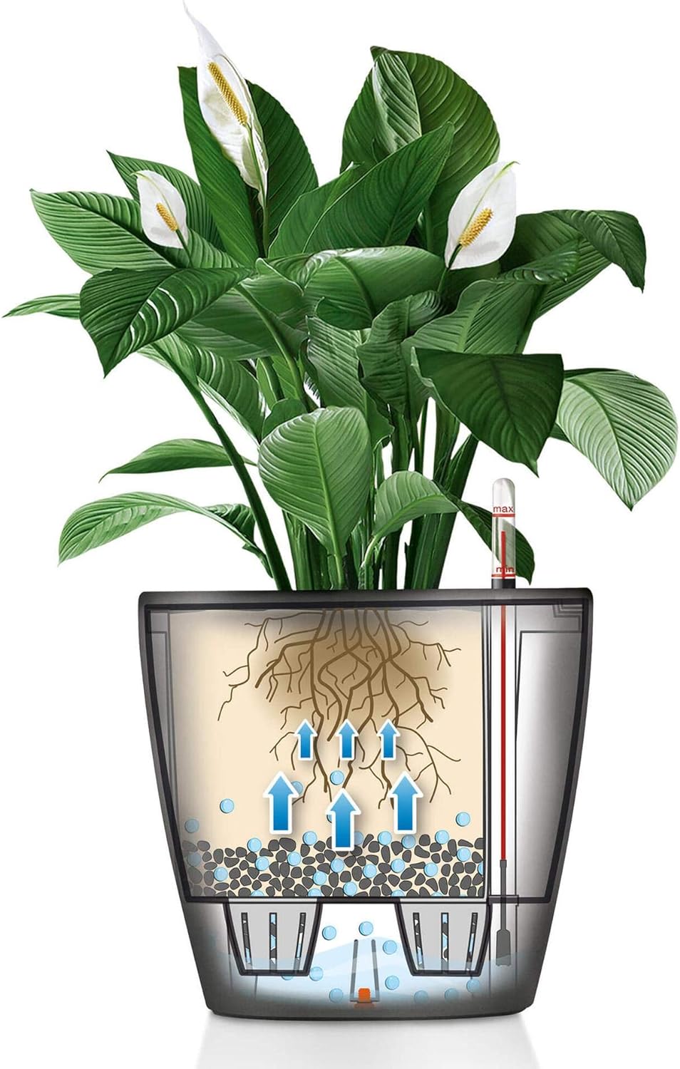 LECHUZA CLASSICO Premium LS 50 anthrazit metallic 16103 49.5x49.5x46.5 cm Anthrazit Metallic Einzel,