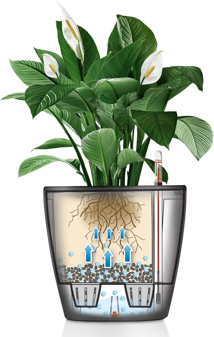 LECHUZA CLASSICO Premium LS 28 silber metallic 16048 28.5x28.5x26 cm Silber Metallic Single, 28.5x28