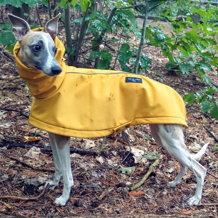 EDEL&SCHNELL Hunderegenjacke reflektierend, Hunderegenmantel aus robustem Softshell, Regenjacke für
