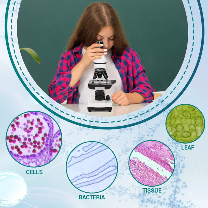 Mikroskop 100X-1000X für Kinder und Studenten - Kindermikroskop-Set mit Präparatebox, Smartphone-Ada