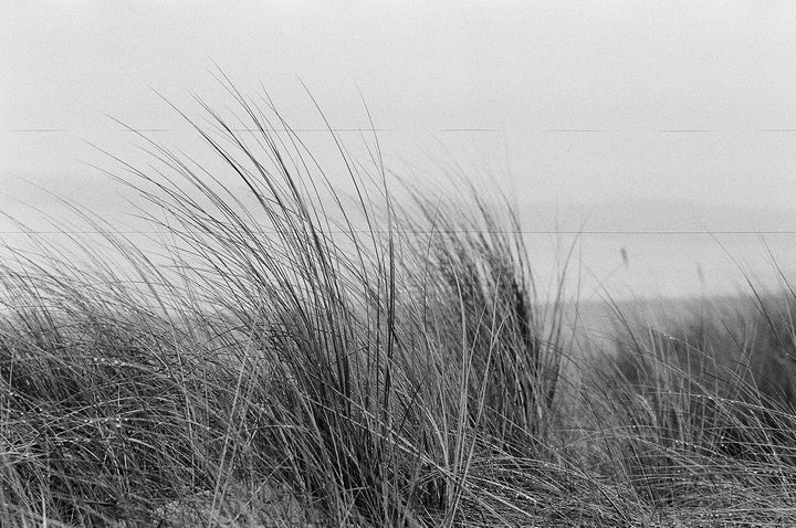 original WOLFEN (ORWO) NP100 schwarz/weiss Kleinbildfilm im Doppel Pack 2x36 Aufnahmen/Made in Germa